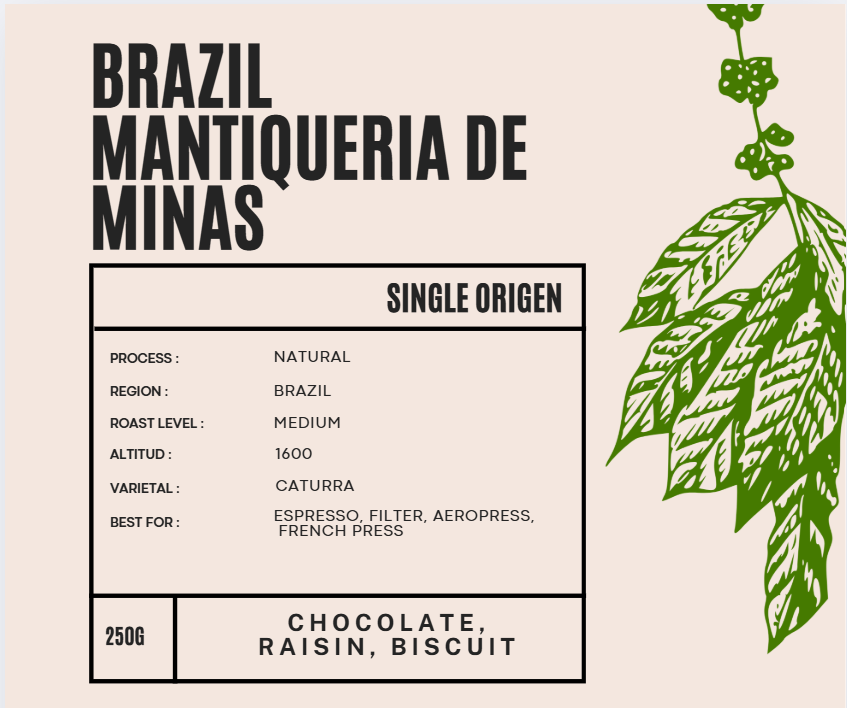 Brazil Mantiqueria de Minas House Coffee